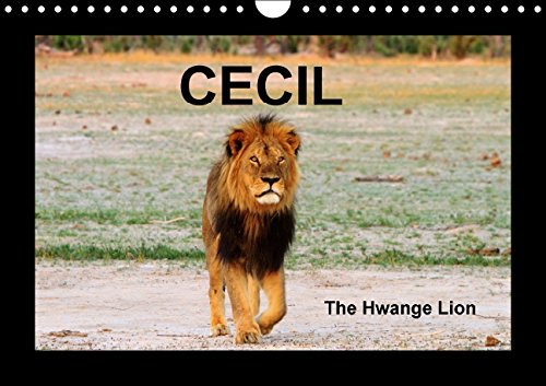 Cecil the Hwange Lion (Wall Calendar perpetual DIN A4 Landscape): Photo's of the Iconic Cecil the Lion and his Pride taken in Hwange National Park ... Animals) French, P Travel Books