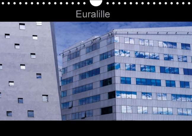Euralille 2016: Le nouveau quartier des affaires, Euralille, et ses vues inedites (Calvendo Places) Travel