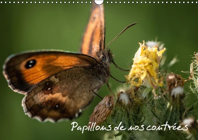 Papillons de nos contrees 2016: Palette de peintures de la nature (Calvendo Animaux) Geology & Geography