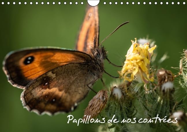 Papillons de nos contrees 2016: Palette de peintures de la nature (Calvendo Animaux) Geology & Geography