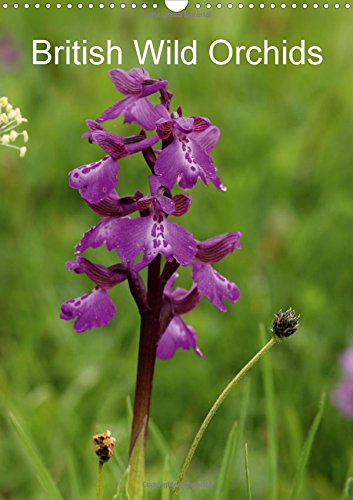 British Wild Orchids 2016: A selection of beautiful wild orchids (Calvendo Nature) Photography
