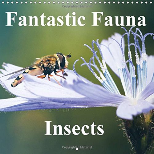 Fantastic Fauna - Insects. 2016: A colourful and interseting set of insect images. (Calvendo Nature) Mathematics