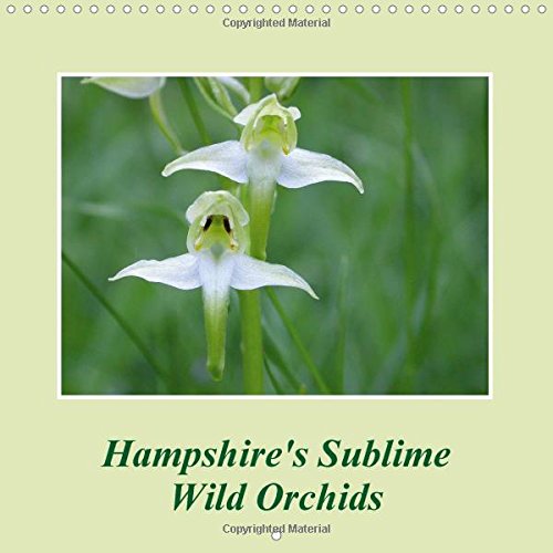 Hampshire's Sublime Wild Orchids 2016: Beautiful photos of some of the wild orchids found in Hampshire (Calvendo Nature) Mathematics