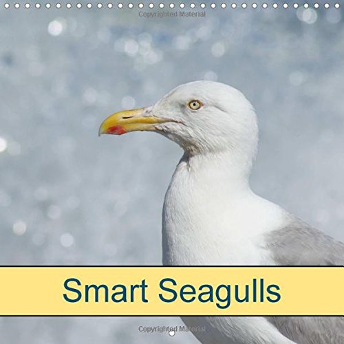 Smart Seagulls 2016: Wild Birds (Calvendo Animals) Mathematics