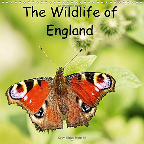 The Wildlife of England 2016: Photos of birds and insects from around England. (Calvendo Animals) Mathematics