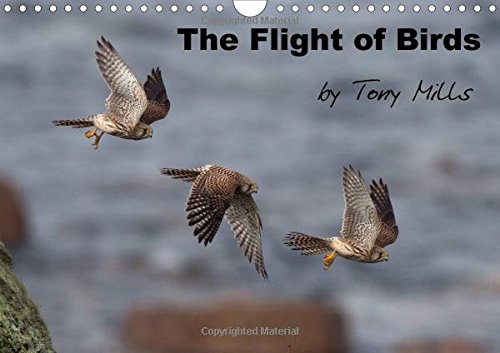 The Flight of Birds by Tony Mills 2016: Birds in flight, photographs by Tony Mills (Calvendo Nature) Mathematics