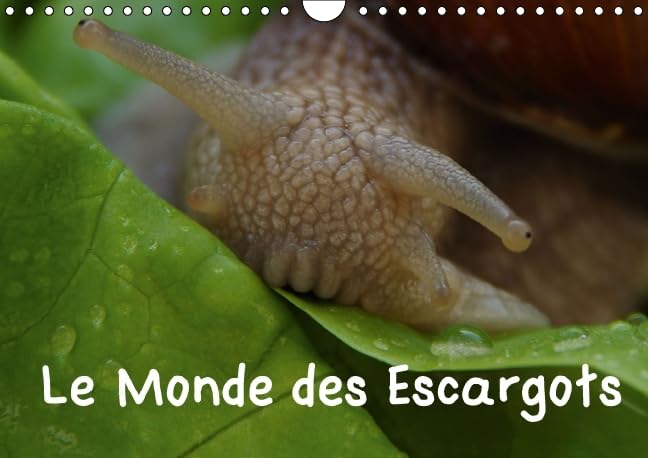 Le Monde des Escargots 2016: Escargots dans notre paysage (Calvendo Nature) Film, Art & Culture