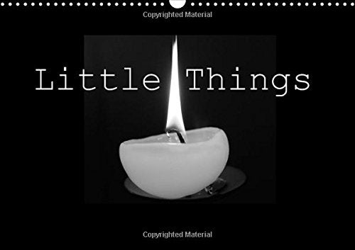 Little Things 2016: The special moments that fill our lives with joyful memories (Calvendo Art) Photography