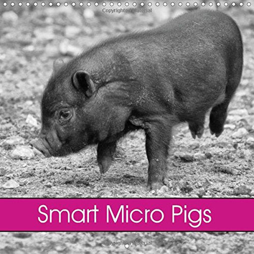 Smart Micro Pigs 2016: Micro Pigs and Piglets in black and white (Calvendo Animals) Pets