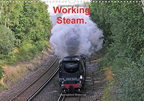 Working Steam. 2016: Preserved Steam Locomotives operating in Southern England. (Calvendo Technology) Leisure, Home & Garden