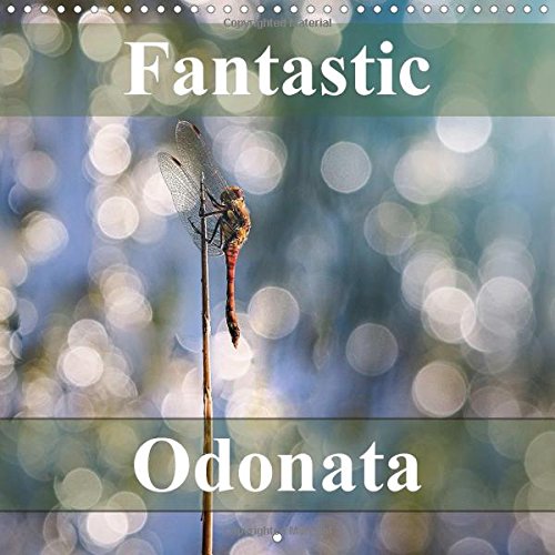 Fantastic Odonata 2016: Dragonfly and Damselfy images (Calvendo Nature) Mathematics