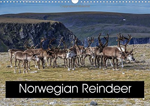 Norwegian Reindeer 2016: Impressive animals (Calvendo Animals) Mathematics