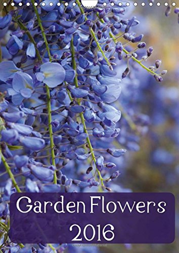 Garden Flowers 2016 2016: Beautiful photographs of garden flowers (Calvendo Nature) Photography