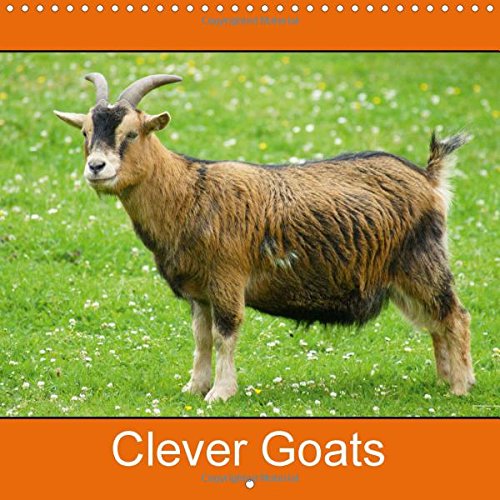 Clever Goats 2016: Goats and Dwarf Goats (Calvendo Animals) Mathematics