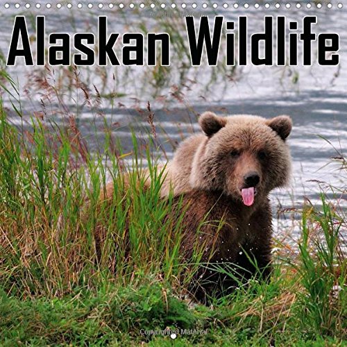 Alaskan Wildlife 2016: The Paradise of the North (Calvendo Animals) Mathematics