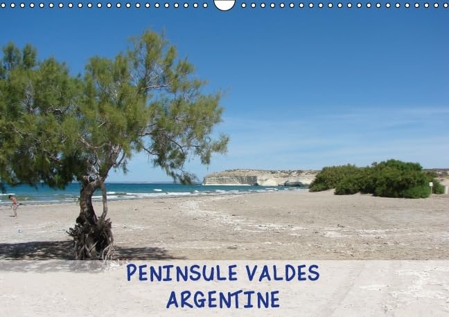 PENINSULE VALDES - ARGENTINE 2016: Peninsule Valdes, reserve naturelle d'Argentine (Calvendo Places) Photography