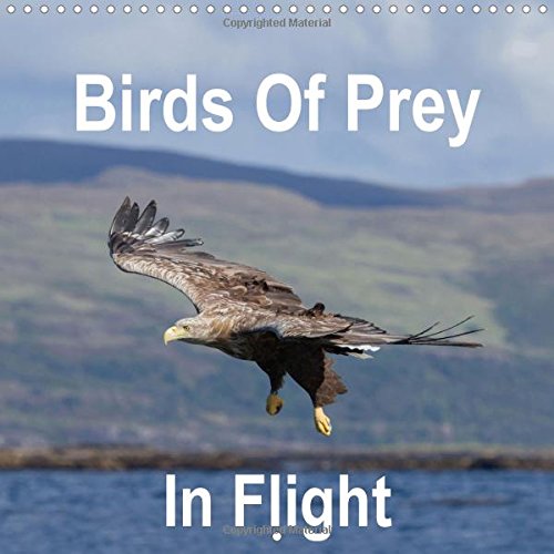 Birds Of Prey In Flight 2016: British Birds Of Prey Photographed In Flight (Calvendo Nature) Mathematics