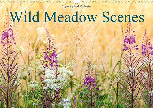 Wild Meadow Scenes 2016: Wildflower meadows in glorius colour. (Calvendo Nature) Mathematics