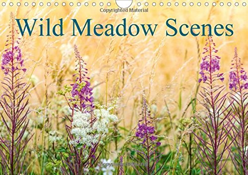 Wild Meadow Scenes 2016: Wildflower meadows in glorius colour. (Calvendo Nature) Mathematics