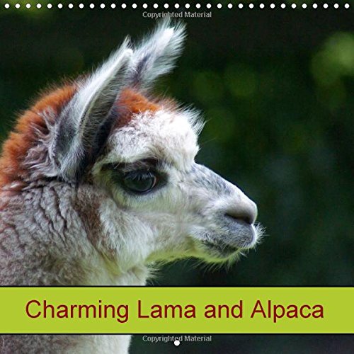 Charming Lama and Alpaca 2016: Domestic Animal (Calvendo Animals) Pets