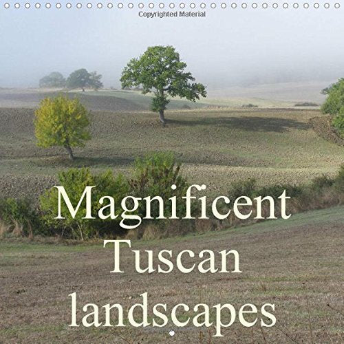 Magnificent Tuscan landscapes 2016: Tuskany - a landscape made of light (Calvendo Nature) Leisure, Home & Garden