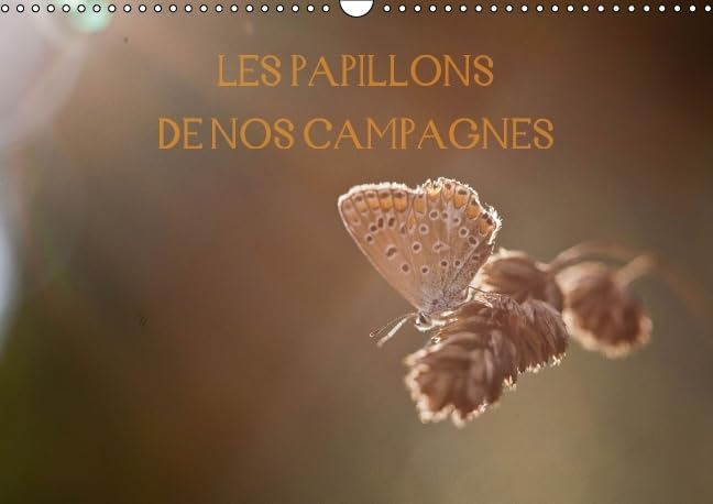 Les papillons de nos campagnes: Calendrier des papillons des campagnes françaises. Calendrier mural A3 horizontal 2016 book