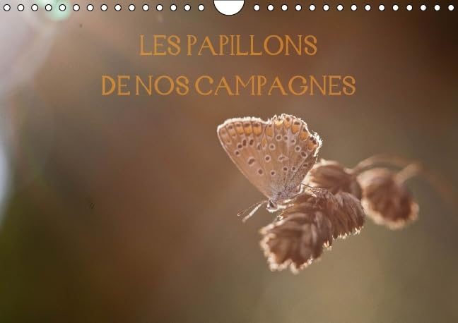 Les papillons de nos campagnes 2016: Calendrier des papillons des campagnes francaises (Calvendo Nature) Mathematics