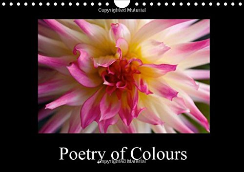 Poetry of Colours 2016: The world of dreamy flowers (Calvendo Nature) Photography