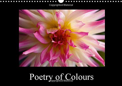 Poetry of Colours 2016: The world of dreamy flowers (Calvendo Nature) Photography