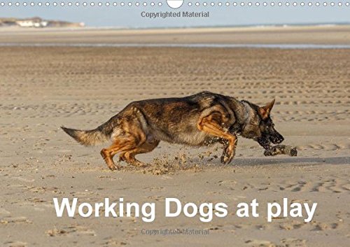 Working Dogs at play 2016: dogs with high energy and power (Calvendo Animals) Pets
