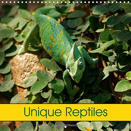 Unique Reptiles 2016: Snakes, Turtles and Saurians (Calvendo Animals) Mathematics