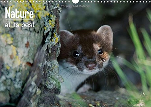 Nature at its best 2016: Images of wildlife from the British Isles in natural habitat book