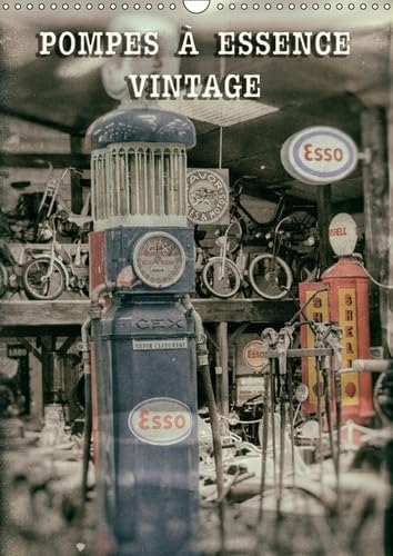 POMPES À ESSENCE VINTAGE (Calendrier mural 2017 DIN A3 vertical): Pompes de carburant d'une autre époque (Calendrier mensuel, 14 Pages ) book