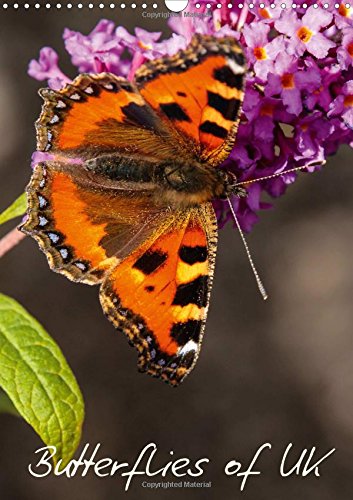 Butterflies of UK (Wall Calendar 2017 DIN A3 Portrait): Some of Our More Colourful UK Butterflies (Calvendo Animals) Leisure, Home & Garden
