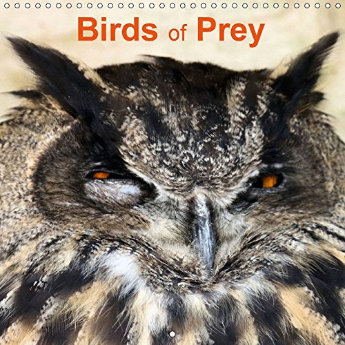 Birds of Prey 2017: Beautiful British Raptors (Calvendo Animals) Mathematics