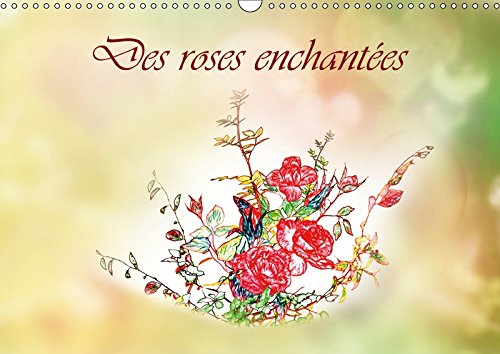 Des Roses Enchantees 2017: Des Roses, Dessinees Aux Crayons De Couleur (Calvendo Nature) Film, Art & Culture