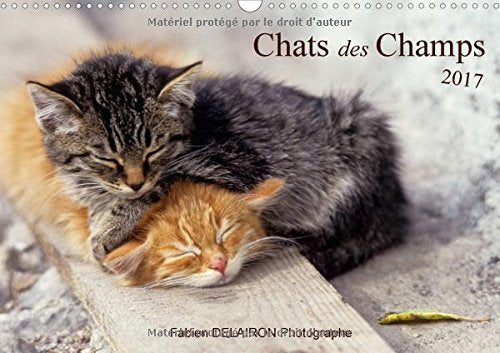 Chats Des Champs 2017: 12 Images De Chats De Campagne (Calvendo Animaux) Film, Art & Culture