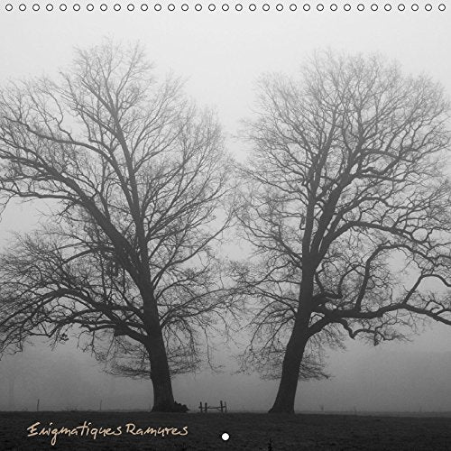 Enigmatiques Ramures 2017: A La Rencontre Des Arbres Aux Ramures Mysterieuses (Calvendo Nature) Social Sciences