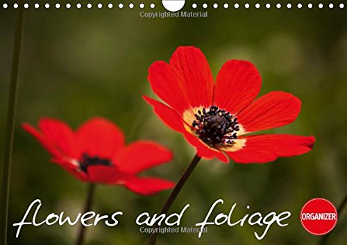 Flowers and Foliage 2017: Flowers and Foliage, Both Delicate and Dramatic. (Calvendo Nature) Natural Sciences