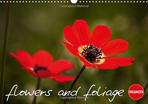 Flowers and Foliage 2017: Flowers and Foliage, Both Delicate and Dramatic. (Calvendo Nature) Natural Sciences