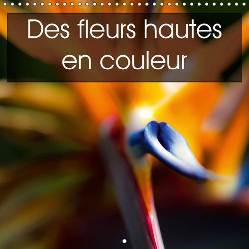Des Fleurs Hautes En Couleur 2017: Des Fleurs De Toute Beaute Et Hautes En Couleur (Calvendo Nature) Garden & Plants