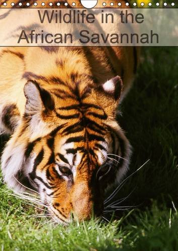Wildlife in the African Savannah 2017: Save the World's Widlife (Calvendo Animals) Geology & Geography