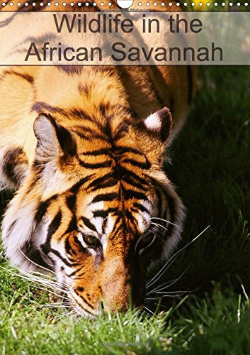 Wildlife in the African Savannah 2017: Save the World's Widlife (Calvendo Animals) Geology & Geography