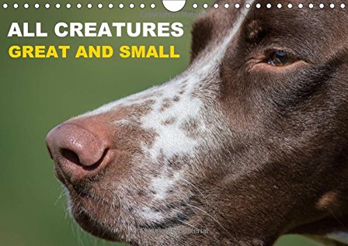 All Creatures Great and Small 2017: The Beauty of Animals (Calvendo Animals) Mathematics