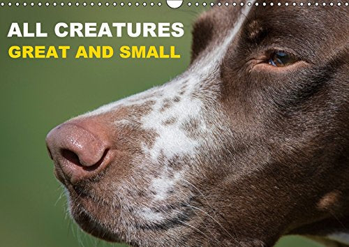 All Creatures Great and Small 2017: The Beauty of Animals (Calvendo Animals) Mathematics