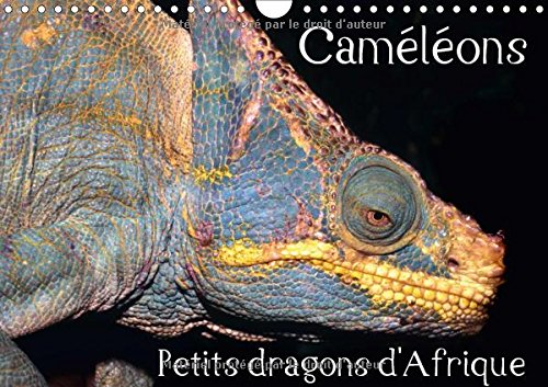 Cameleons - Petits Dragons D'afrique. 2017: Douze Portraits Extraordinaires Des Plus Surprenantes Especes De Cameleons. (Calvendo Animaux) Mathematics