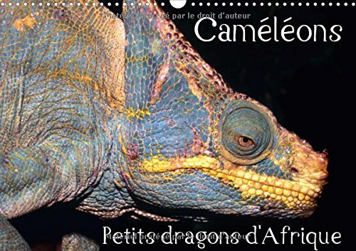 Cameleons - Petits Dragons D'afrique. 2017: Douze Portraits Extraordinaires Des Plus Surprenantes Especes De Cameleons. (Calvendo Animaux) Mathematics