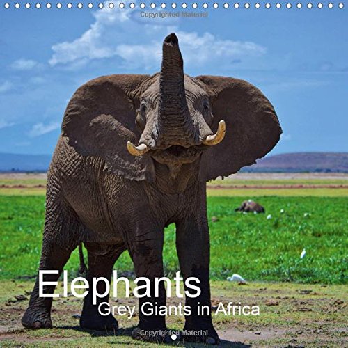Elephants - Grey Giants in Africa 2017: Elephants Photographed in East and South Africa (Calvendo Animals) Photography