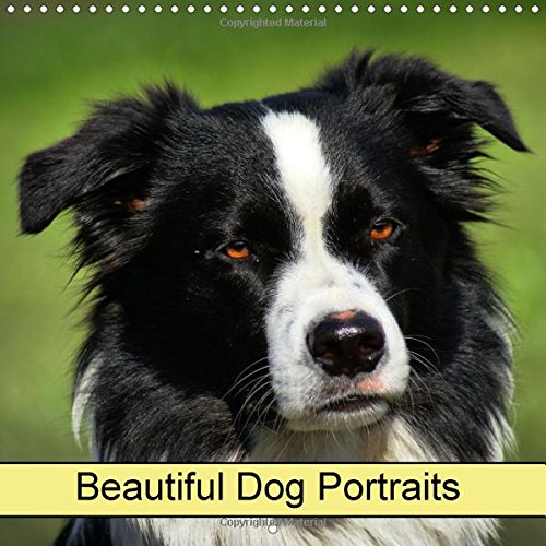 Beautiful Dog Portraits 2017: Dogs and Pets (Calvendo Animals) Pets