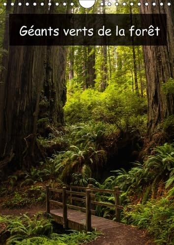 Geants Verts De La Foret 2017: Arbres Anciens Et Foret Tropicale De La Cote Nord-Ouest Americaine (Calvendo Nature) Photography